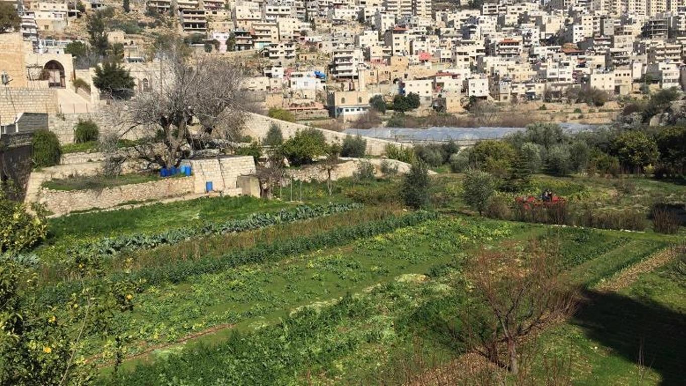 بلدة ارطاس.jpg