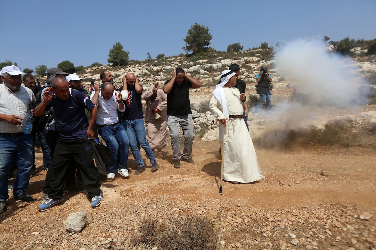 310818_SHH_00 (5).jpg