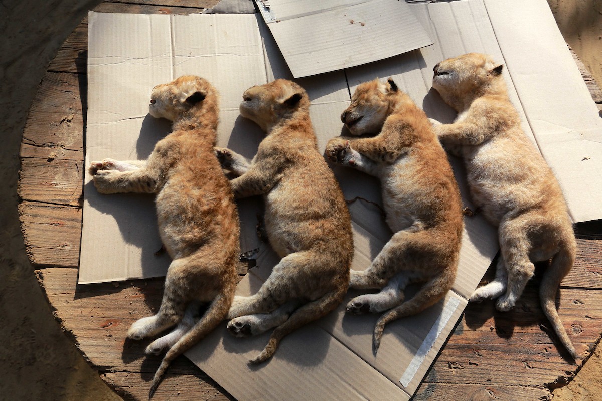 180119_AD_00 (6).jpg