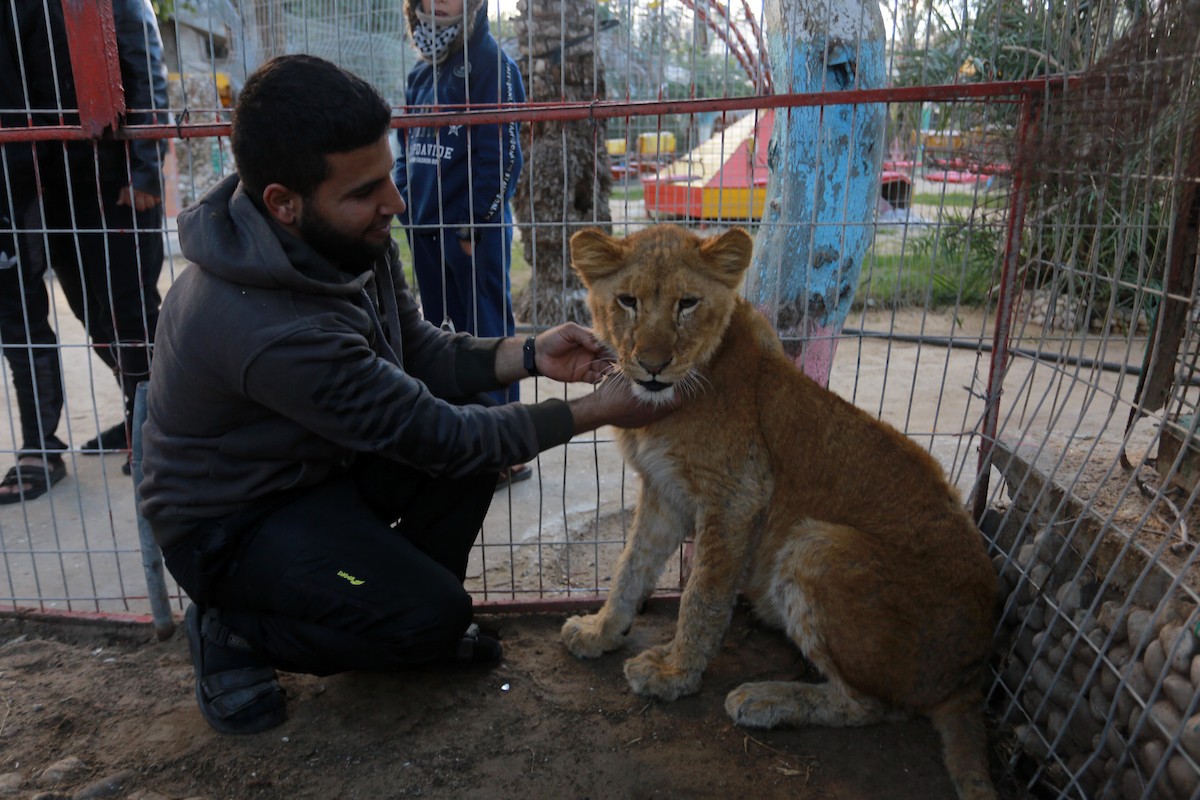 180119_AD_00 (13).jpg