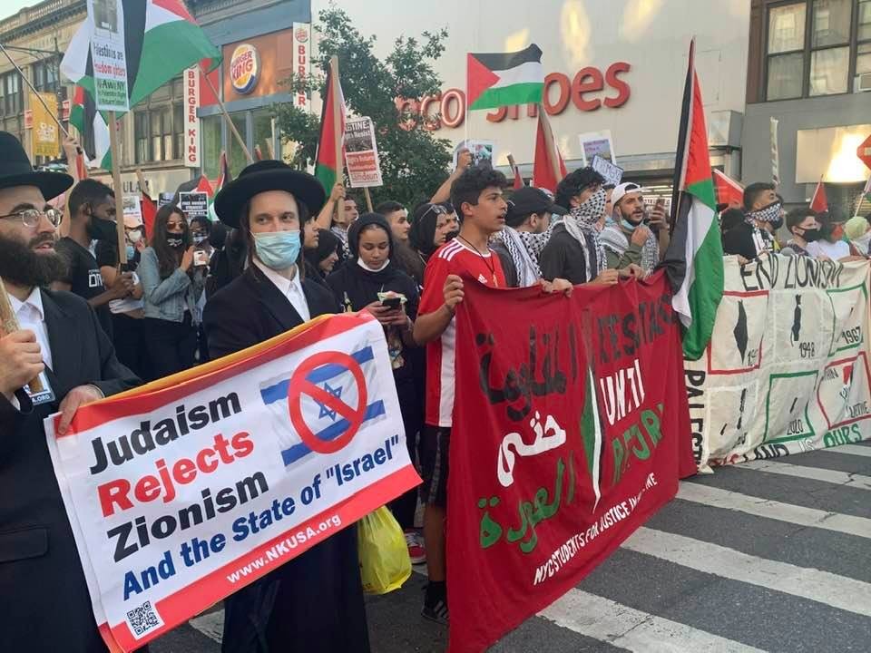 WhatsApp Image 2020-07-02 at 11.46.05 AM.jpeg