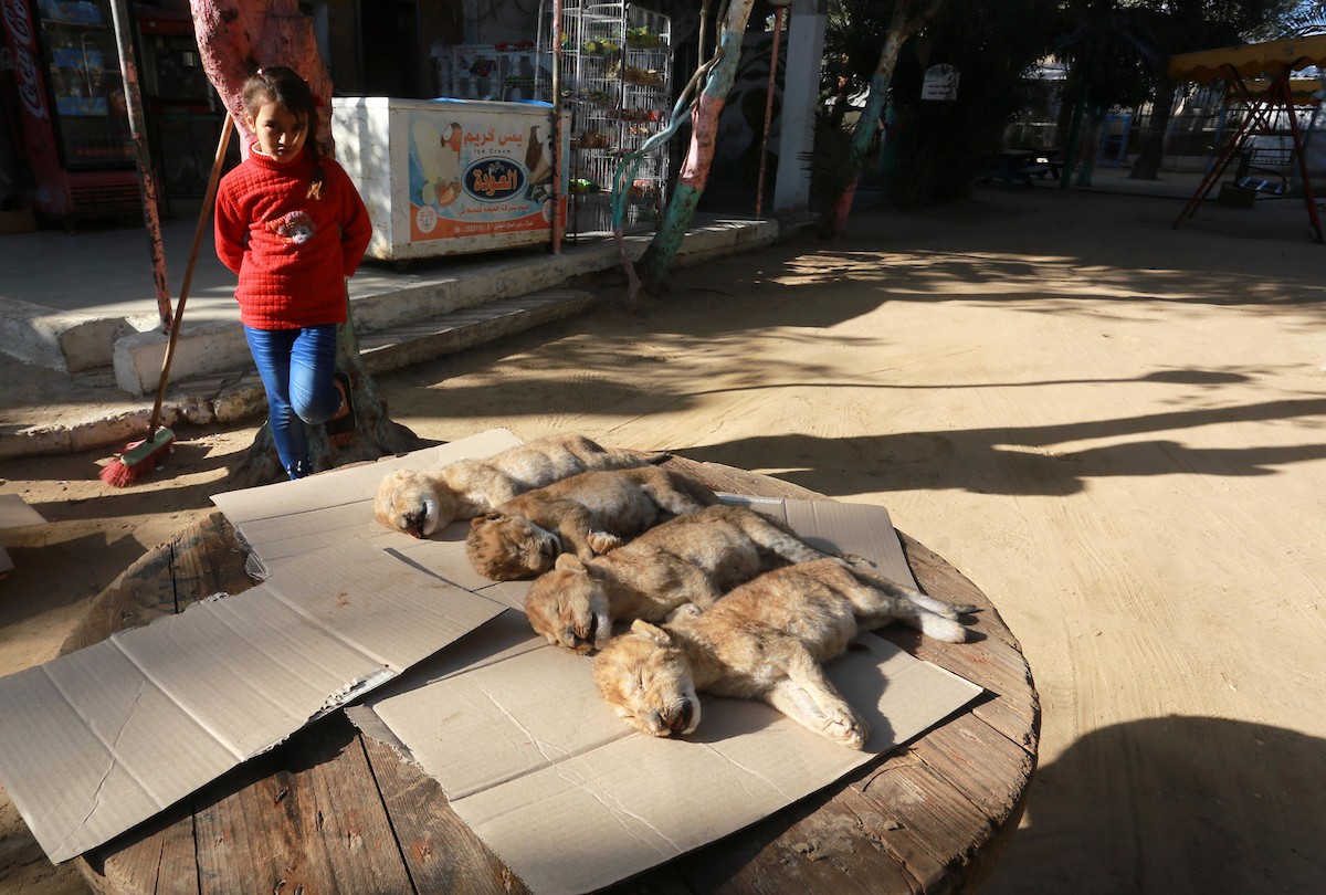 180119_AD_00 (4).jpg