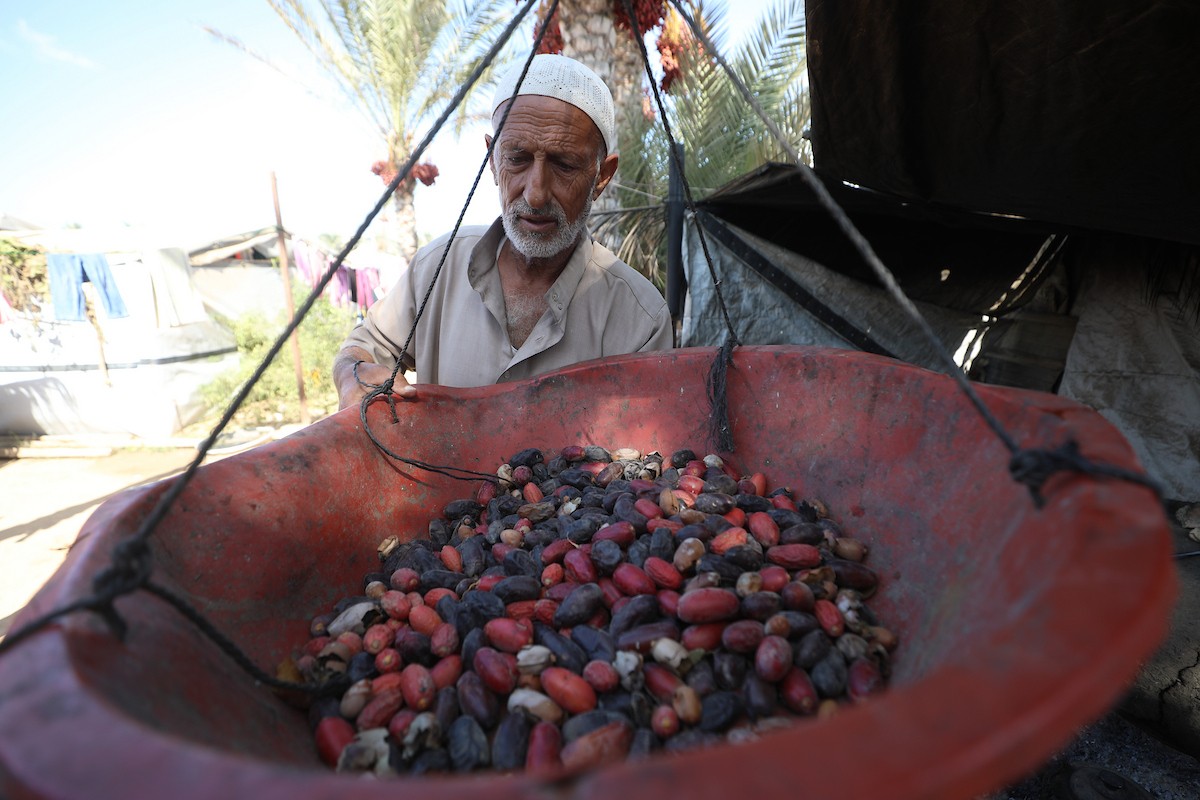 041026_Deir_El-Balah_HJ_00(11).jpg