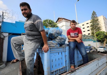 مزارعو غزة يناشدون لتصدير منتجاتهم إلى الضفة