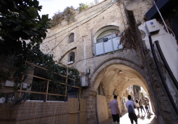 عروس البحر 