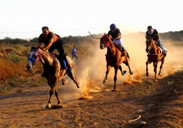 بالصور :ركوب الخيل في غزة