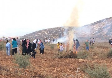 إتحاد لجان العمل الزراعي ينظم يوماً زراعياً شمال رام الله