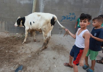 مواطنون يذبحون الأضاحي خلال اليوم الأول من عيد الأضحى بغزة