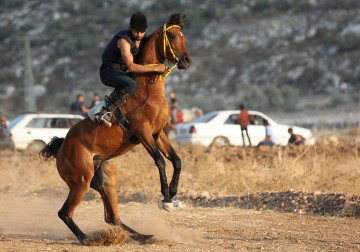 أندية الفروسية تشارك في مضمار لسباق الخيول غرب الخليل