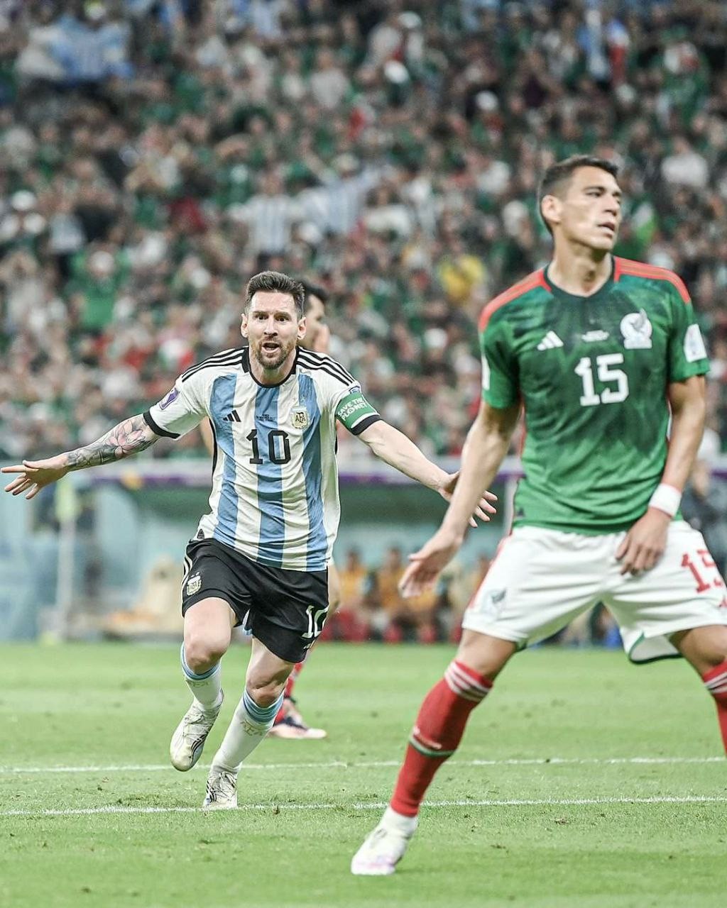 photo1669496501 (3).jpeg