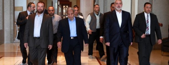 ارشيفية 