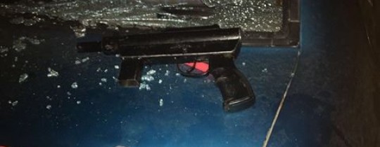 16295678_280004519083158_662949383_n