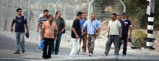 عمال تصاريح