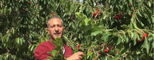 الأسير سامر العربيد