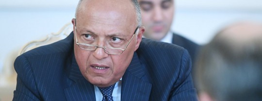 وزير الخارجية المصري