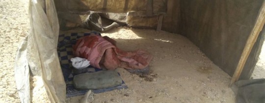 12963934_811316548999329_364640022162422303_n