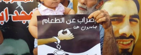 مجد أبو شملة