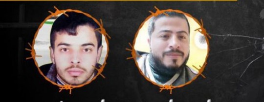 شديد وأبو فارة