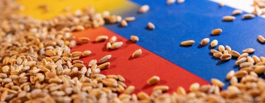 صفقة الحبوب