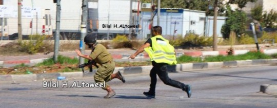 الصورة التي التقطها المصور الطويل