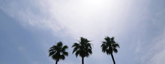 الأجواء الصيفية في سماء الوطن