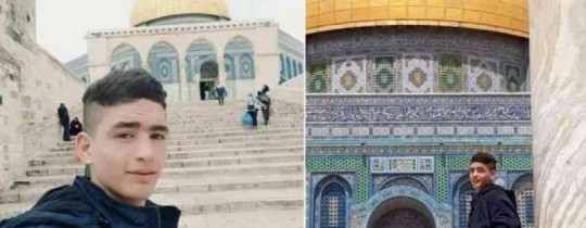 الشهيد أحمد غزال 