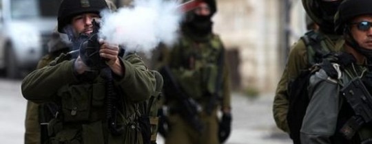 d04f7c16d79b182b7e4b2a9f772d3044