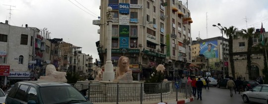 11179679_10205198581577684_1121253848_o