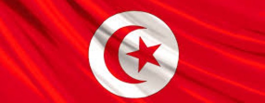 العلم التونسي