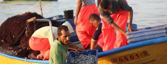 صيادو منطقة السودانيّة - شمال غرب مدينة غزّة