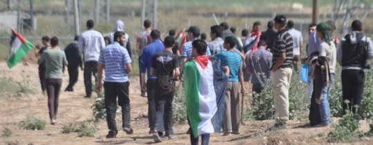 أرشيفية 