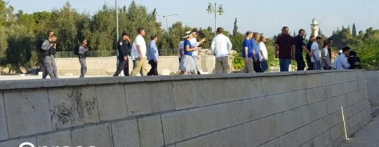 14317515_1125666114147608_6903290232046826928_n