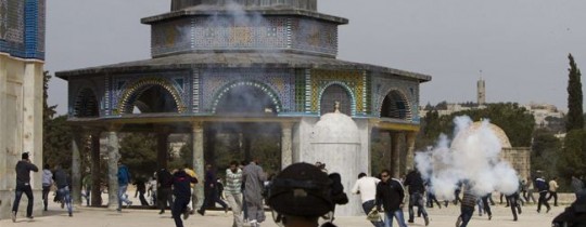 من اقتحامات الأقصى