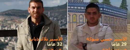 شوكة وذياب