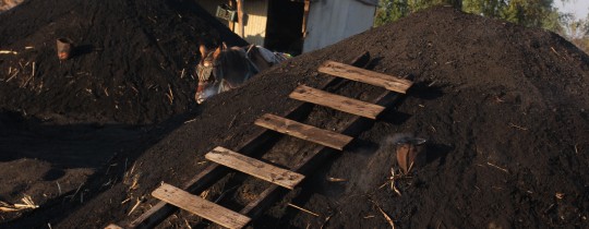 صناعة الفحم بفلسطين