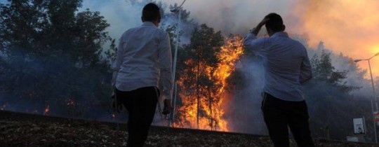 من الحرائق المندلعة 