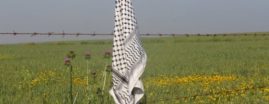 محمود العثامنة -جحر الديك