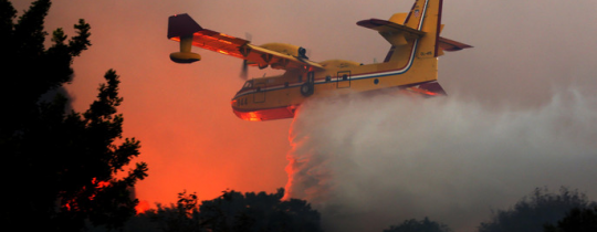 الحرائق مستمرة في الداخل المحتل