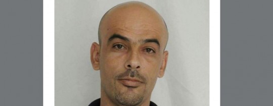 شادي معالي
