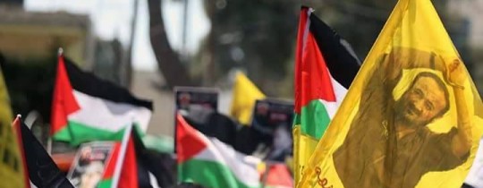 18009701_672355222951122_134485935_n