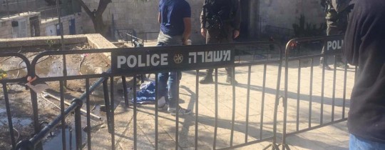 1934747_554587744702469_5573350993825568895_n