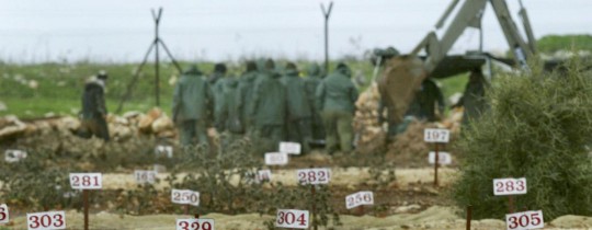 أرشيفية - مقابر الأرقام