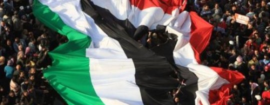 رؤية مصريّة من 5 محددات لحل الأزمة السوريّة