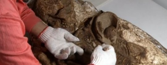 صورة الام وطفلها