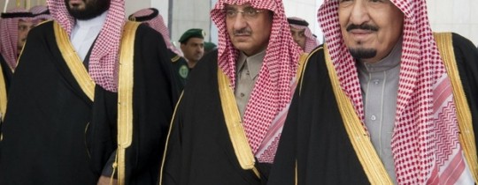 ارشيفية 