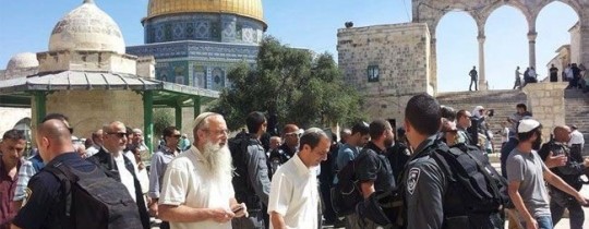 مجموعات المستوطنين داخل باحات المسجد الاقصى