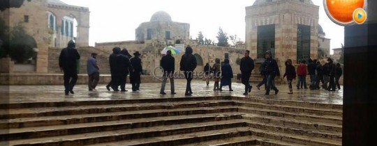 27657694_10155230912847621_6769008875917835246_n