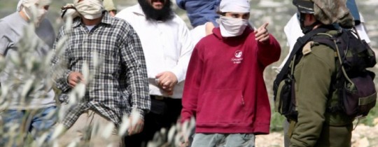 مستوطنون يعتدون على مزارعين في بلدة بيت أمر شمال الخليل