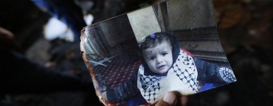 الرضيع دوابشة