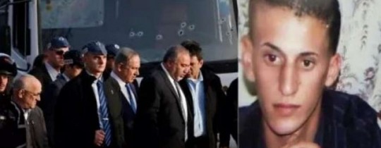 فادي قنبر